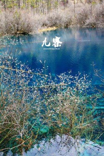 南京农行金融为民筑牢群众“钱袋子”保护网