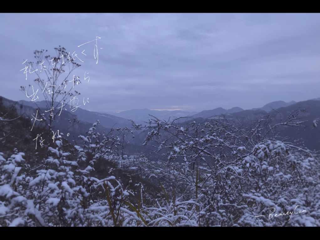 安徽黄山:祥龙花馍迎新春