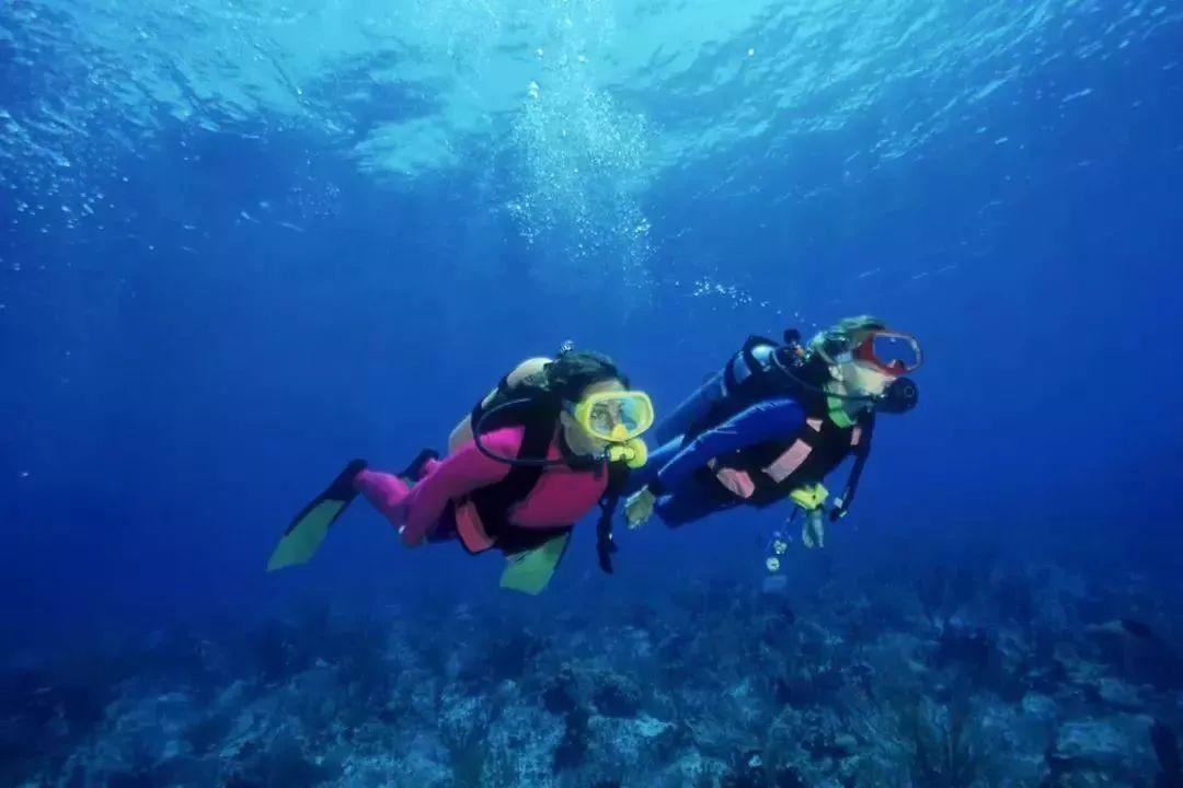 深物业A上涨5.09%,报9.29元/股