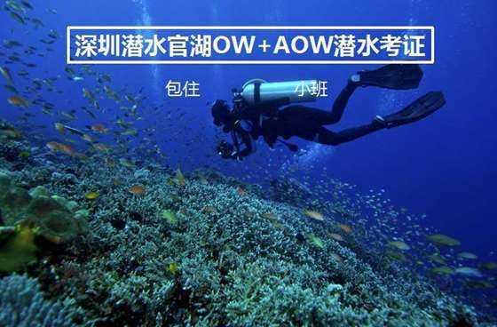 辽宁沈阳迎大范围降雪，人机配合清雪保畅通
