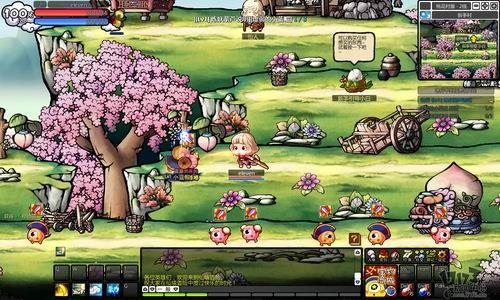 救援小孔雀