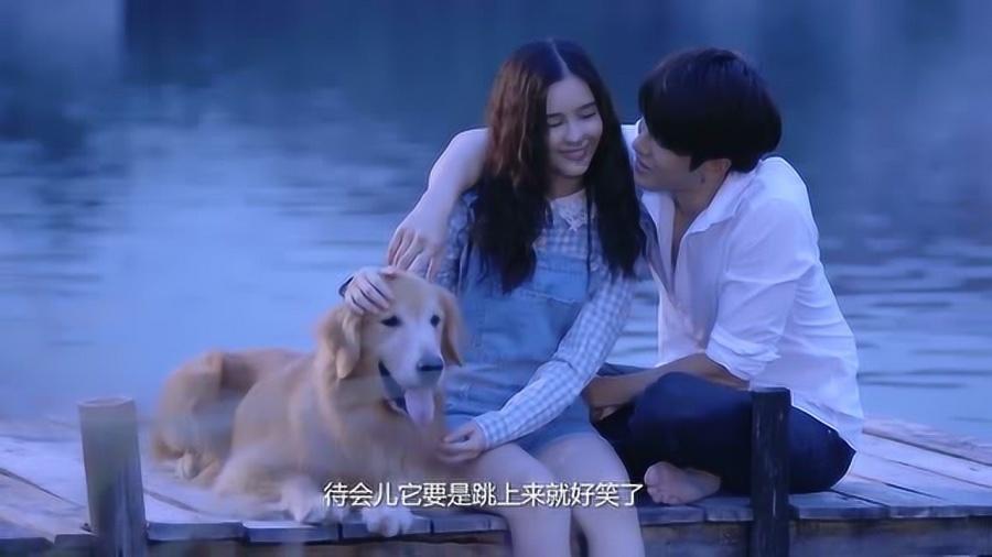 虫虫助手下载
