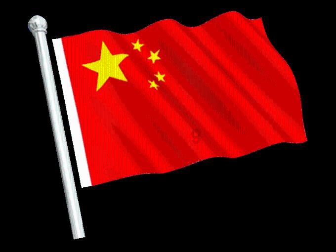 救援可爱的狮子