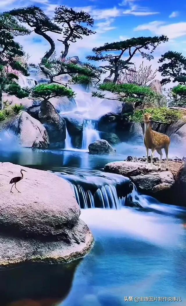 燃烧吧大脑免广告最新版